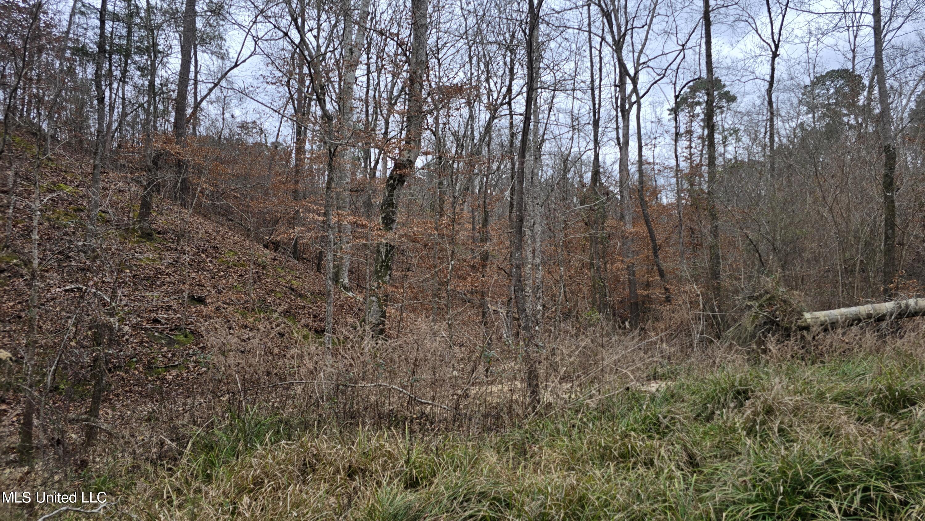 Sturgis Road Sturgis, MS 39769 - Photo 14 of 39 20260114_100900