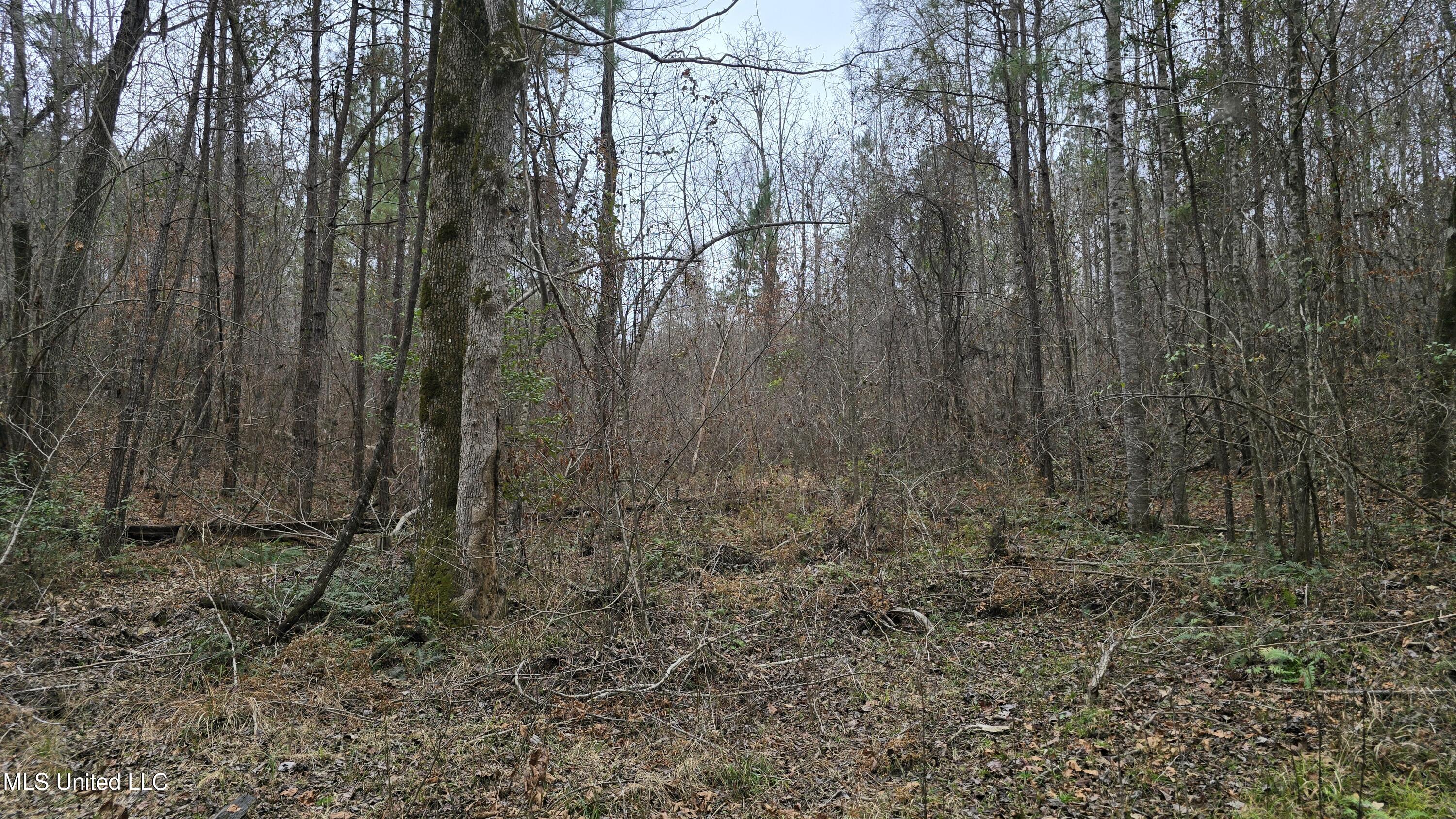 Sturgis Road Sturgis, MS 39769 - Photo 15 of 39 20260114_101104