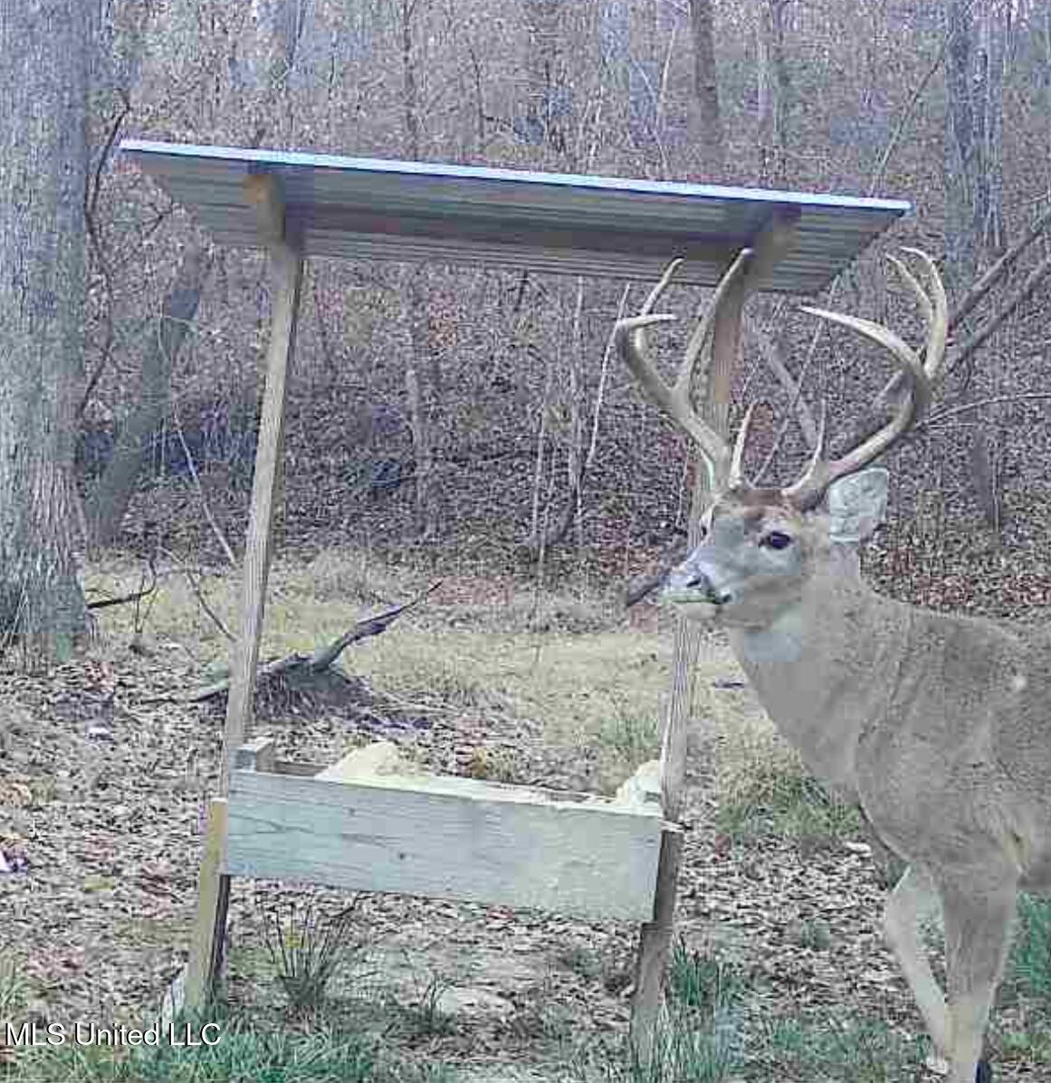 Sturgis Road Sturgis, MS 39769 - Photo 16 of 39 1