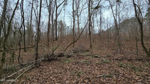 $132,300 | Sturgis Road, Sturgis, MS 39769