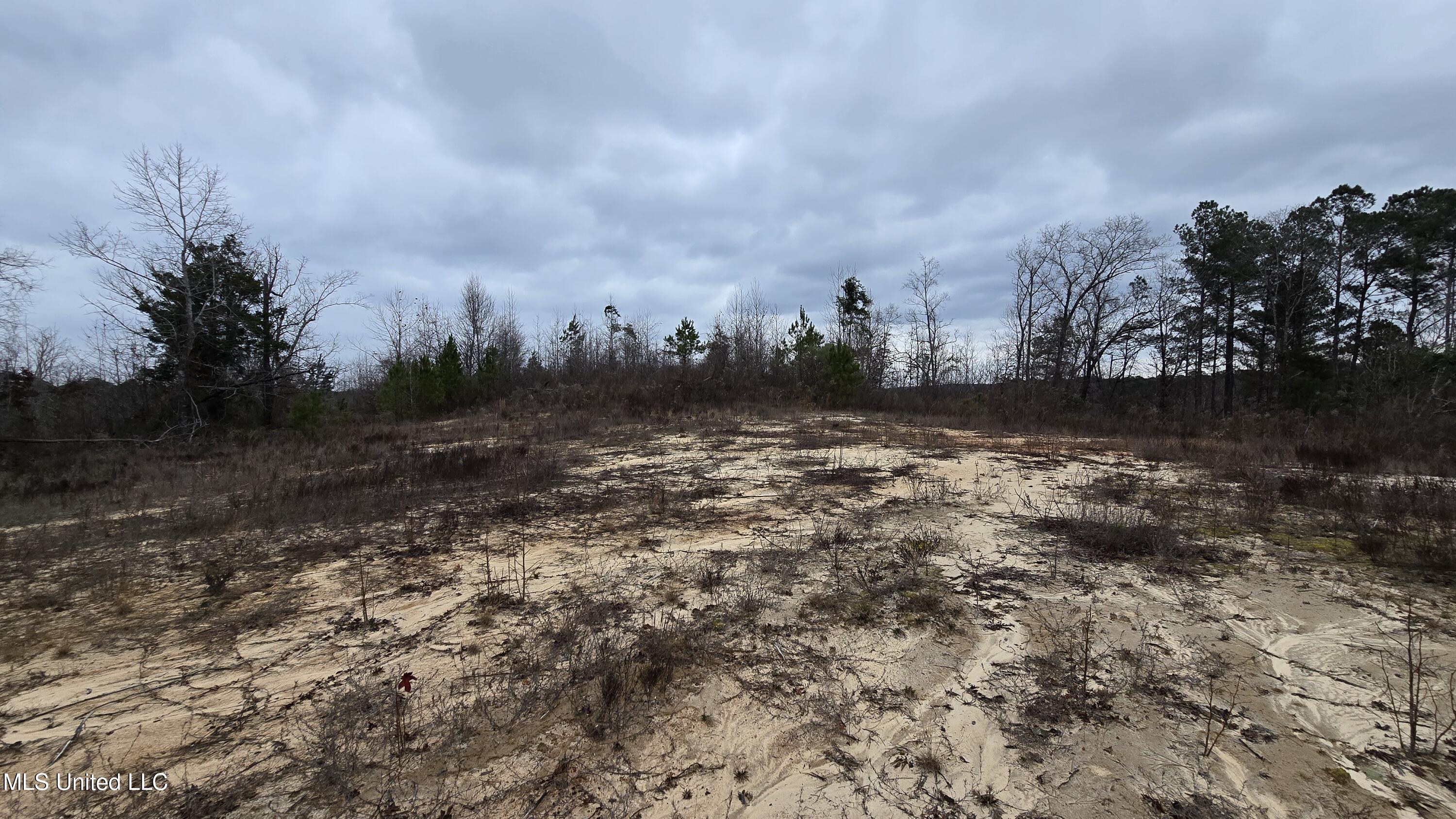 Sturgis Road Sturgis, MS 39769 - Photo 18 of 39 20260114_101503