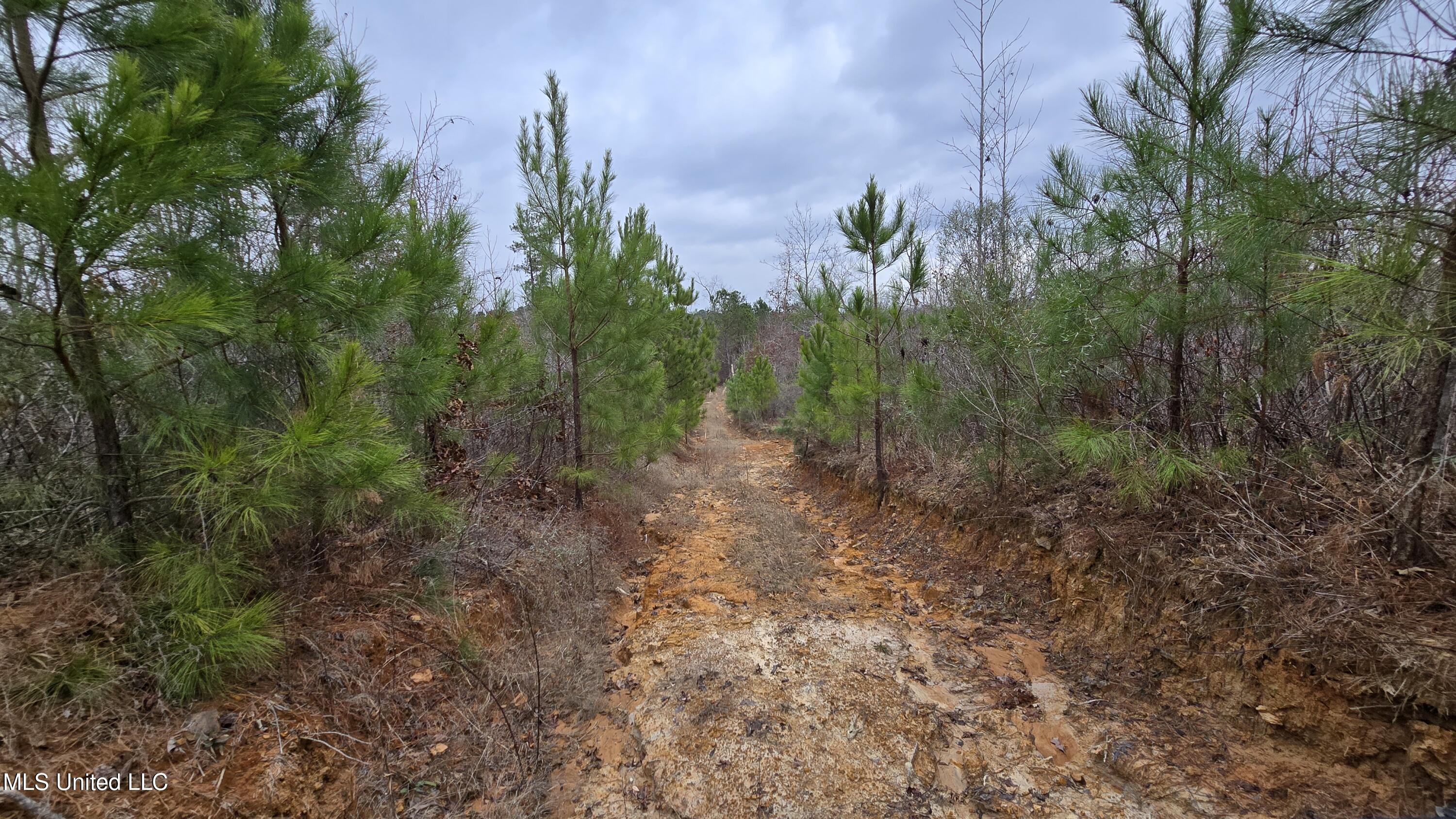 Sturgis Road Sturgis, MS 39769 - Photo 20 of 39 20260114_101625