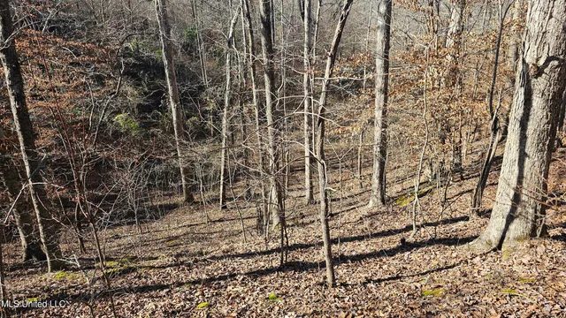 $132,300 | Sturgis Road, Sturgis, MS 39769