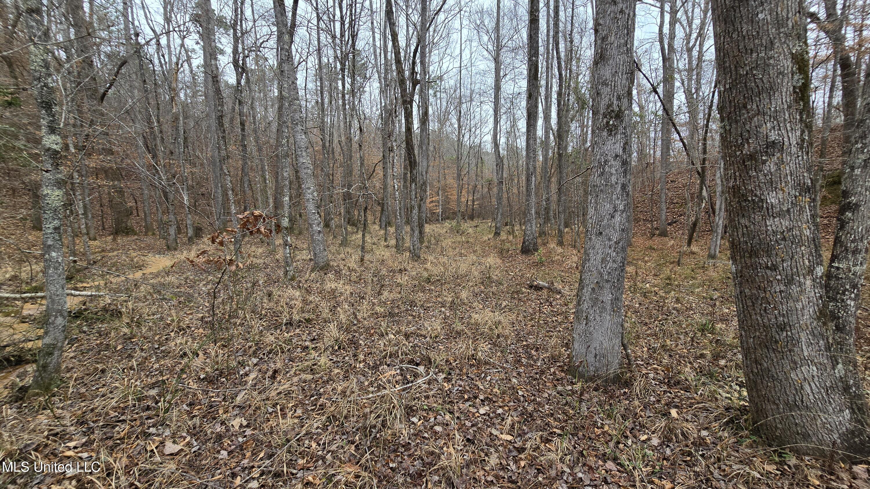 Sturgis Road Sturgis, MS 39769 - Photo 22 of 39 20260114_101749