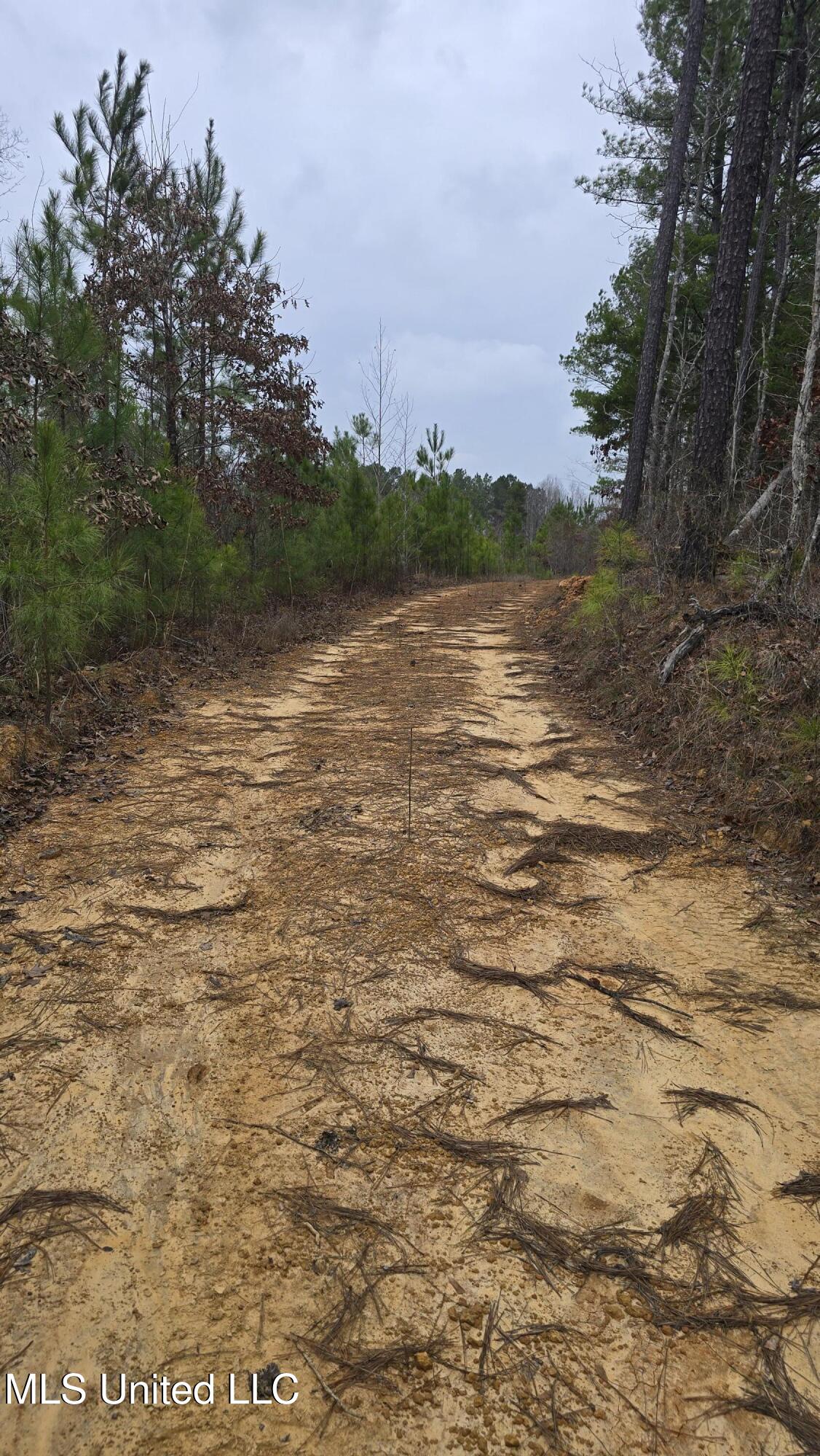 Sturgis Road Sturgis, MS 39769 - Photo 23 of 39 20260114_102257