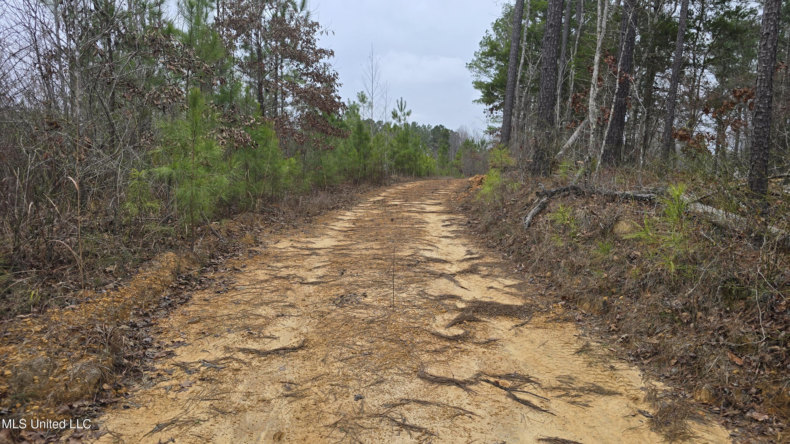 Sturgis Road Sturgis, MS 39769 - Photo 24 of 39 20260114_102259