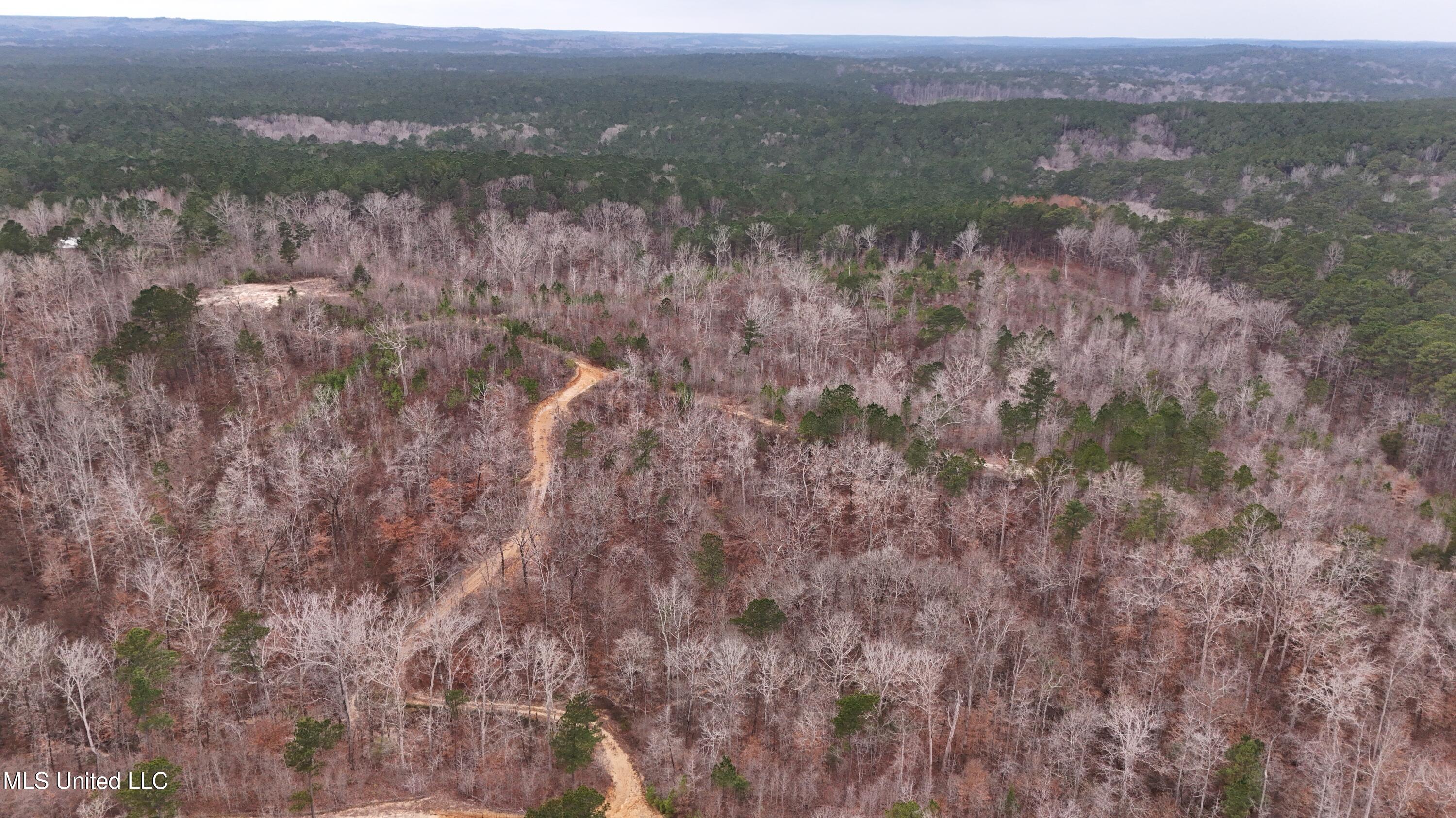 Sturgis Road Sturgis, MS 39769 - Photo 26 of 39 DJI_20260114104850_0229_D