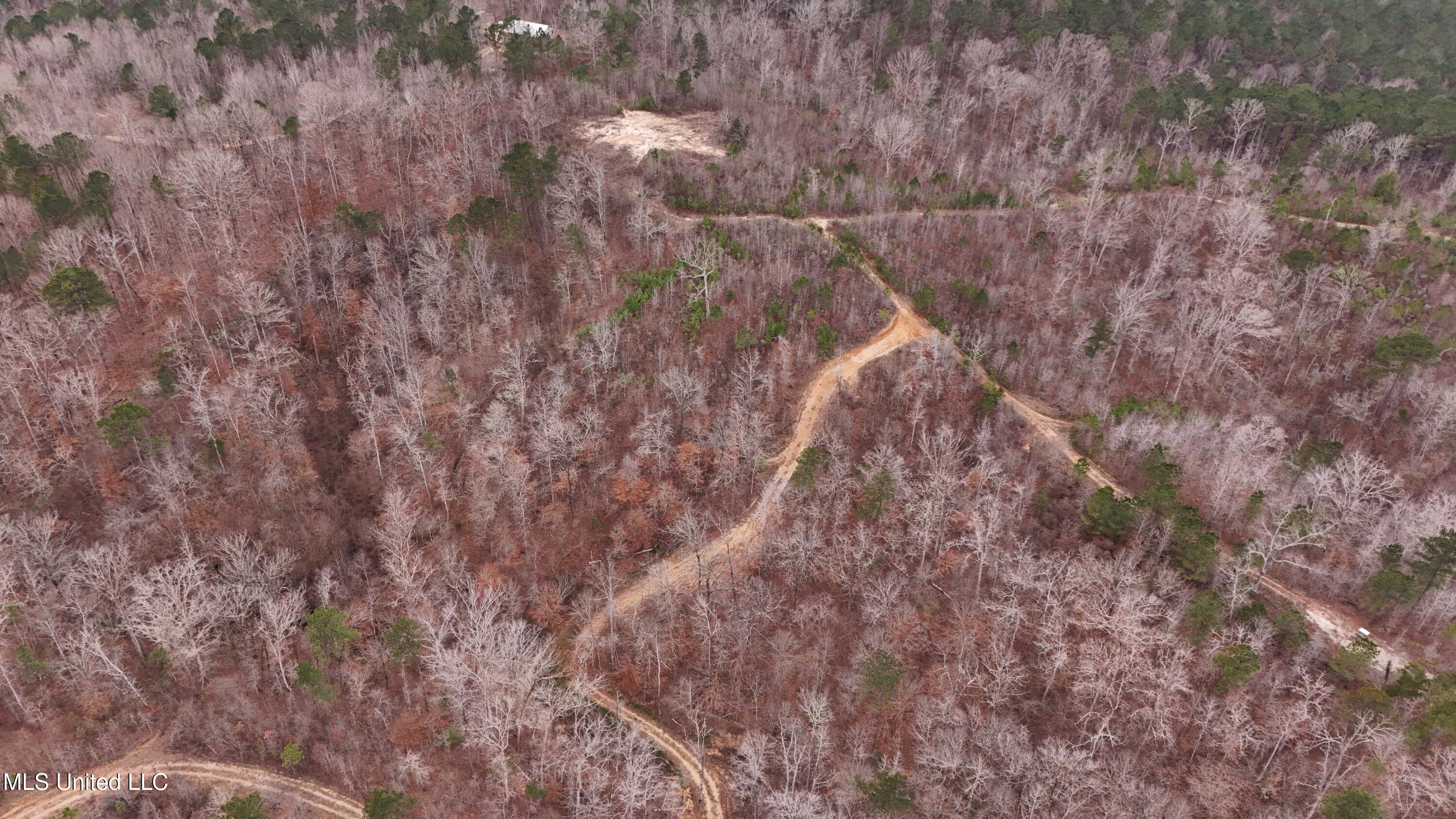 Sturgis Road Sturgis, MS 39769 - Photo 27 of 39 DJI_20260114104954_0231_D