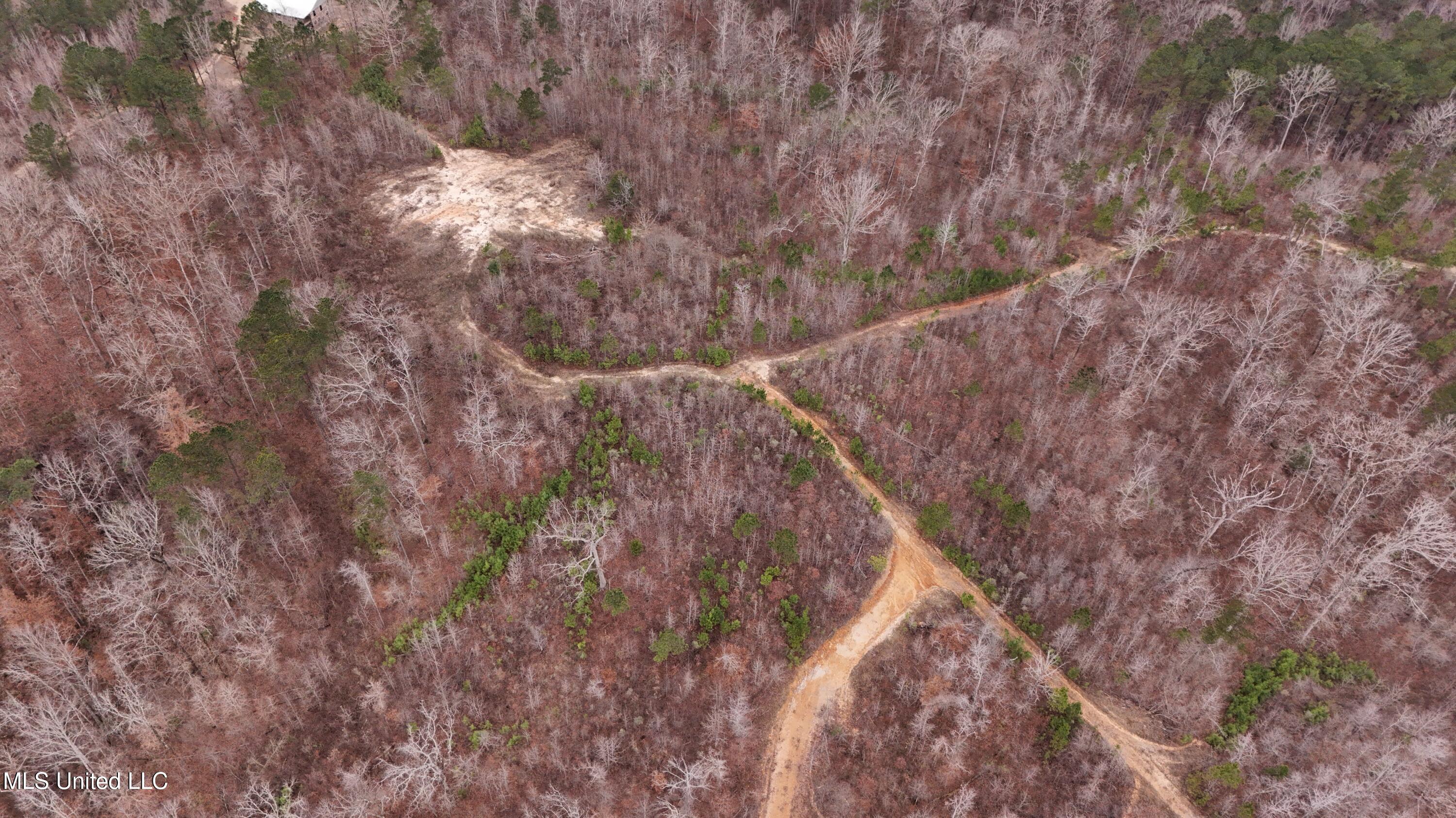 Sturgis Road Sturgis, MS 39769 - Photo 28 of 39 DJI_20260114105012_0232_D