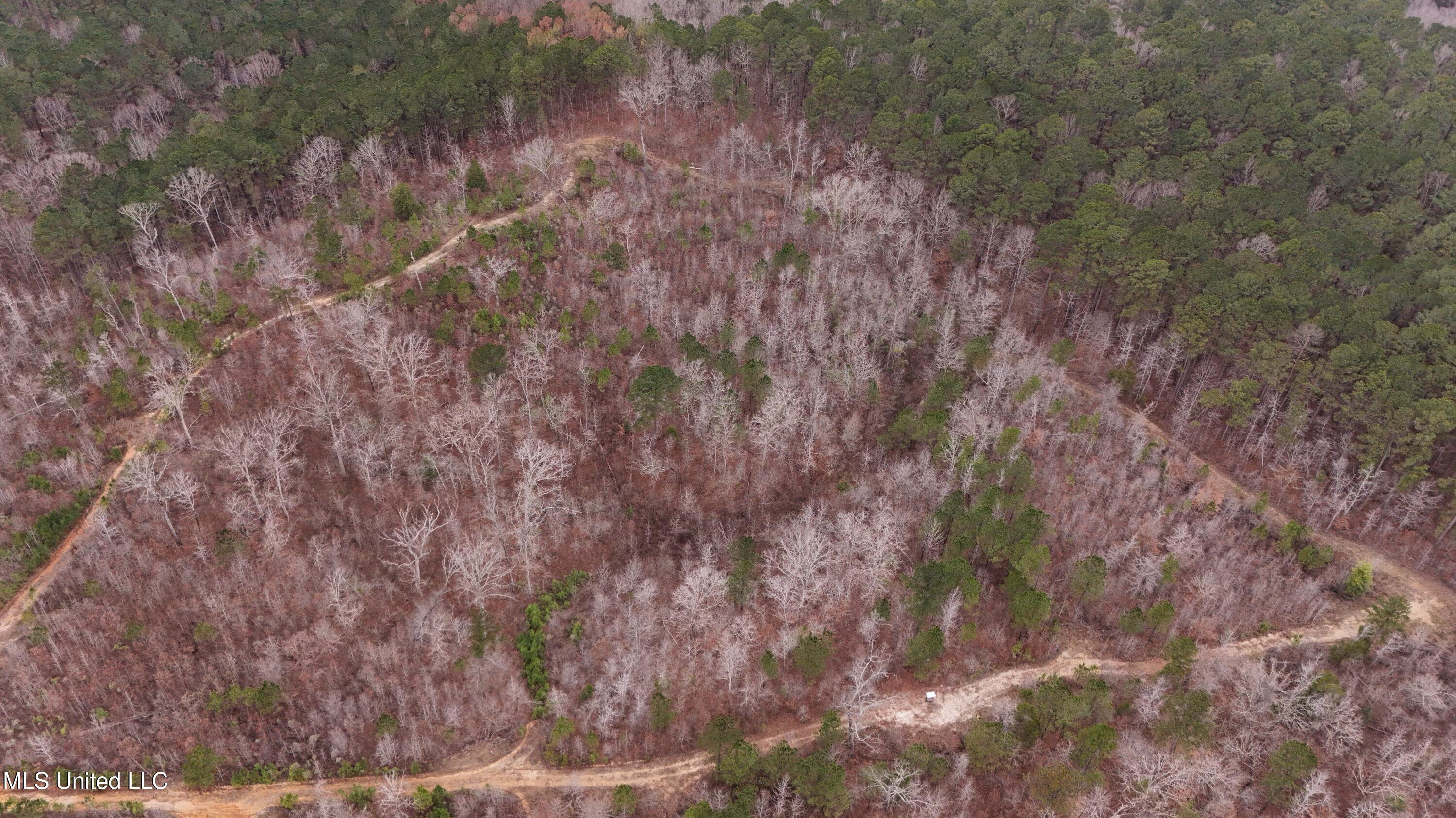Sturgis Road Sturgis, MS 39769 - Photo 29 of 39 DJI_20260114105019_0233_D