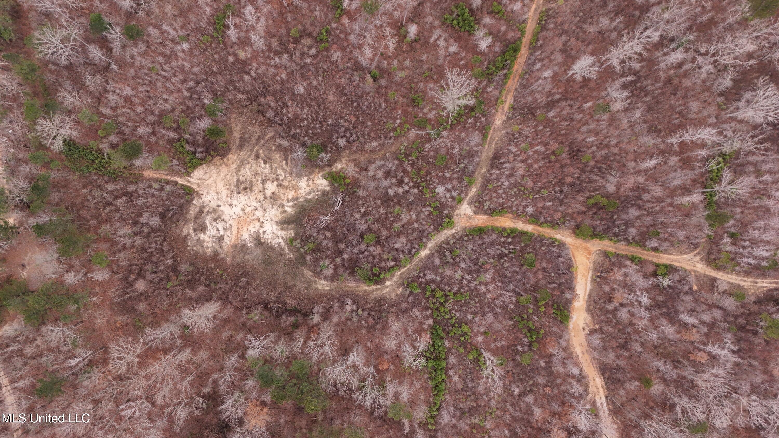 Sturgis Road Sturgis, MS 39769 - Photo 30 of 39 DJI_20260114105110_0235_D