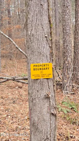 $132,300 | Sturgis Road, Sturgis, MS 39769