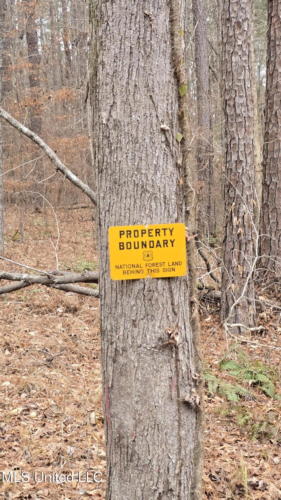 Sturgis Road Sturgis, MS 39769 - Photo 3 of 39 3