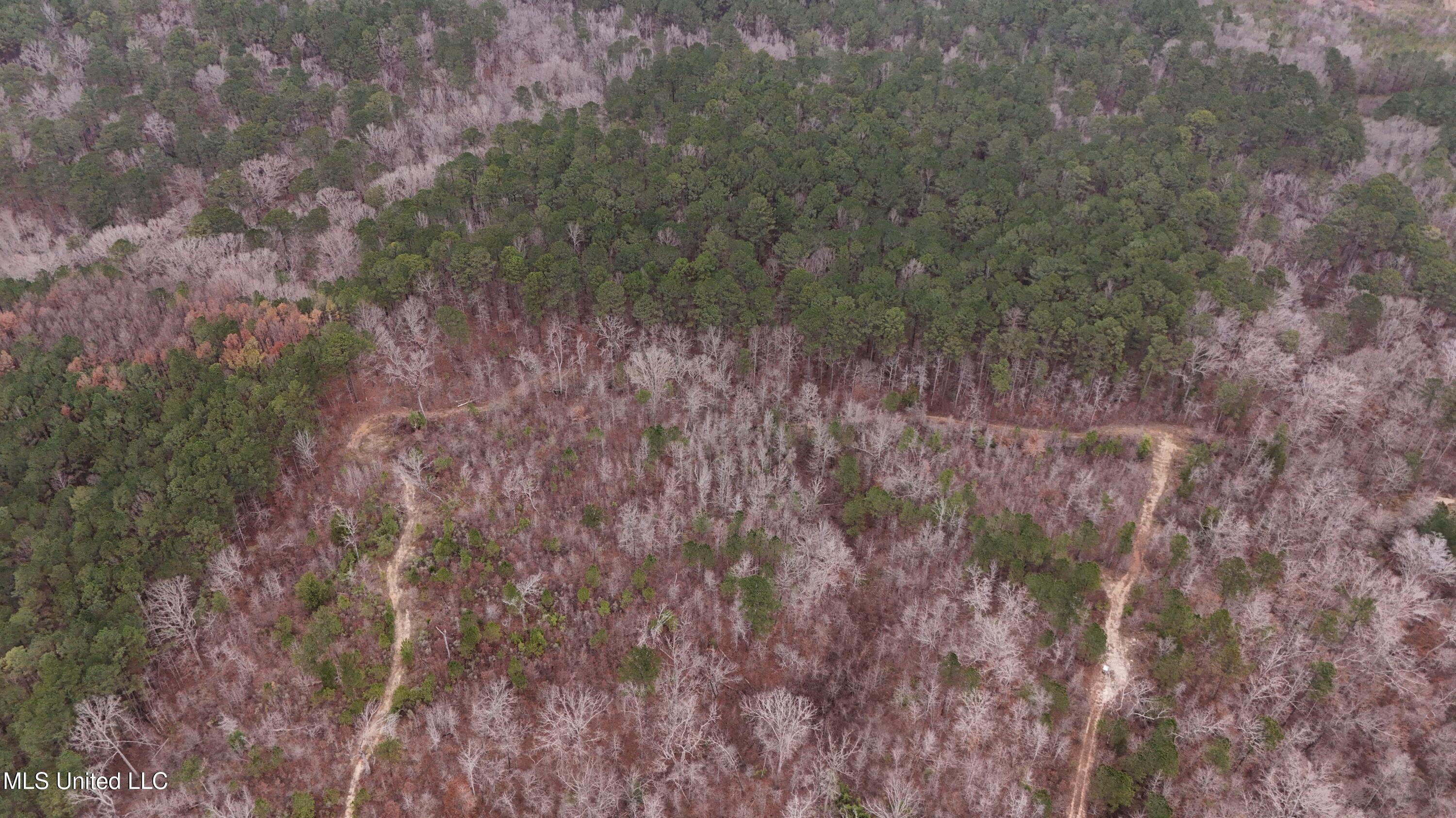 Sturgis Road Sturgis, MS 39769 - Photo 31 of 39 DJI_20260114105118_0236_D