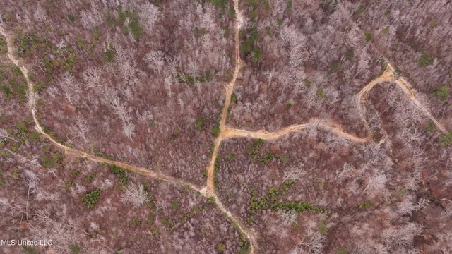 $132,300 | Sturgis Road, Sturgis, MS 39769