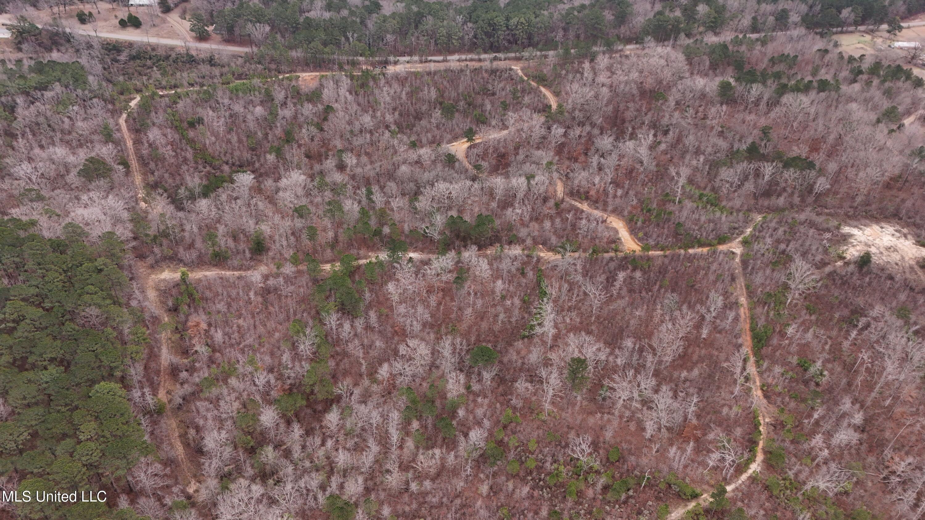 Sturgis Road Sturgis, MS 39769 - Photo 33 of 39 DJI_20260114105231_0238_D