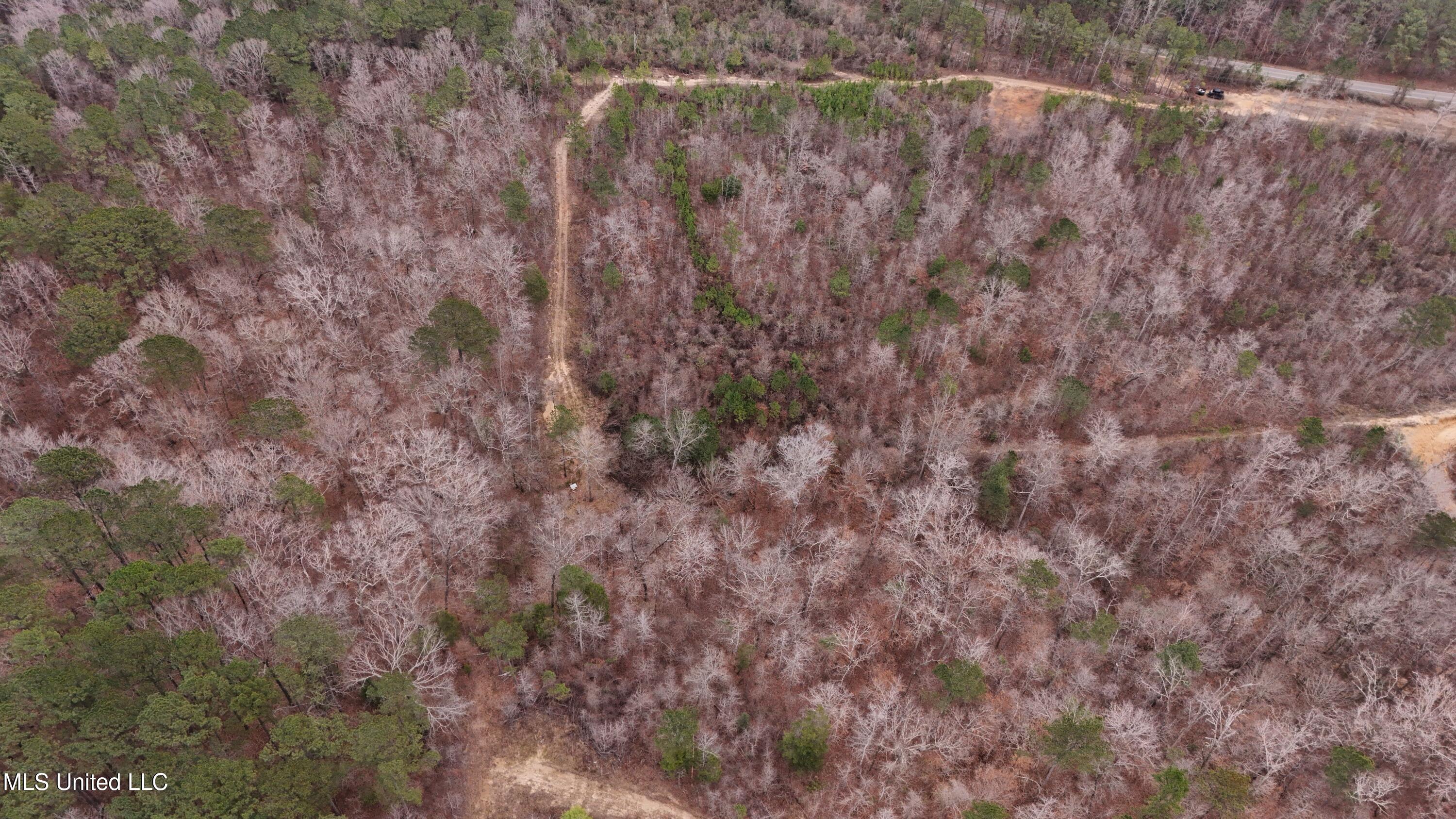 Sturgis Road Sturgis, MS 39769 - Photo 34 of 39 DJI_20260114105302_0239_D