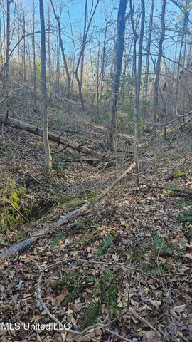 $132,300 | Sturgis Road, Sturgis, MS 39769