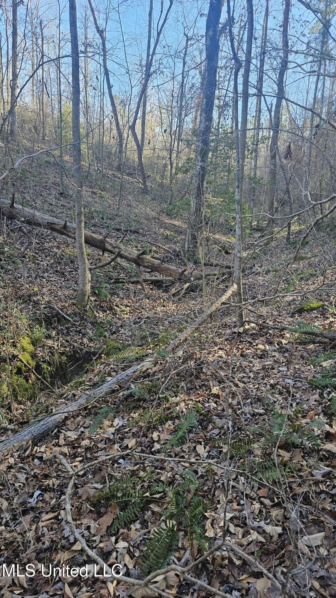 Sturgis Road Sturgis, MS 39769 - Photo 35 of 39 2 (1)