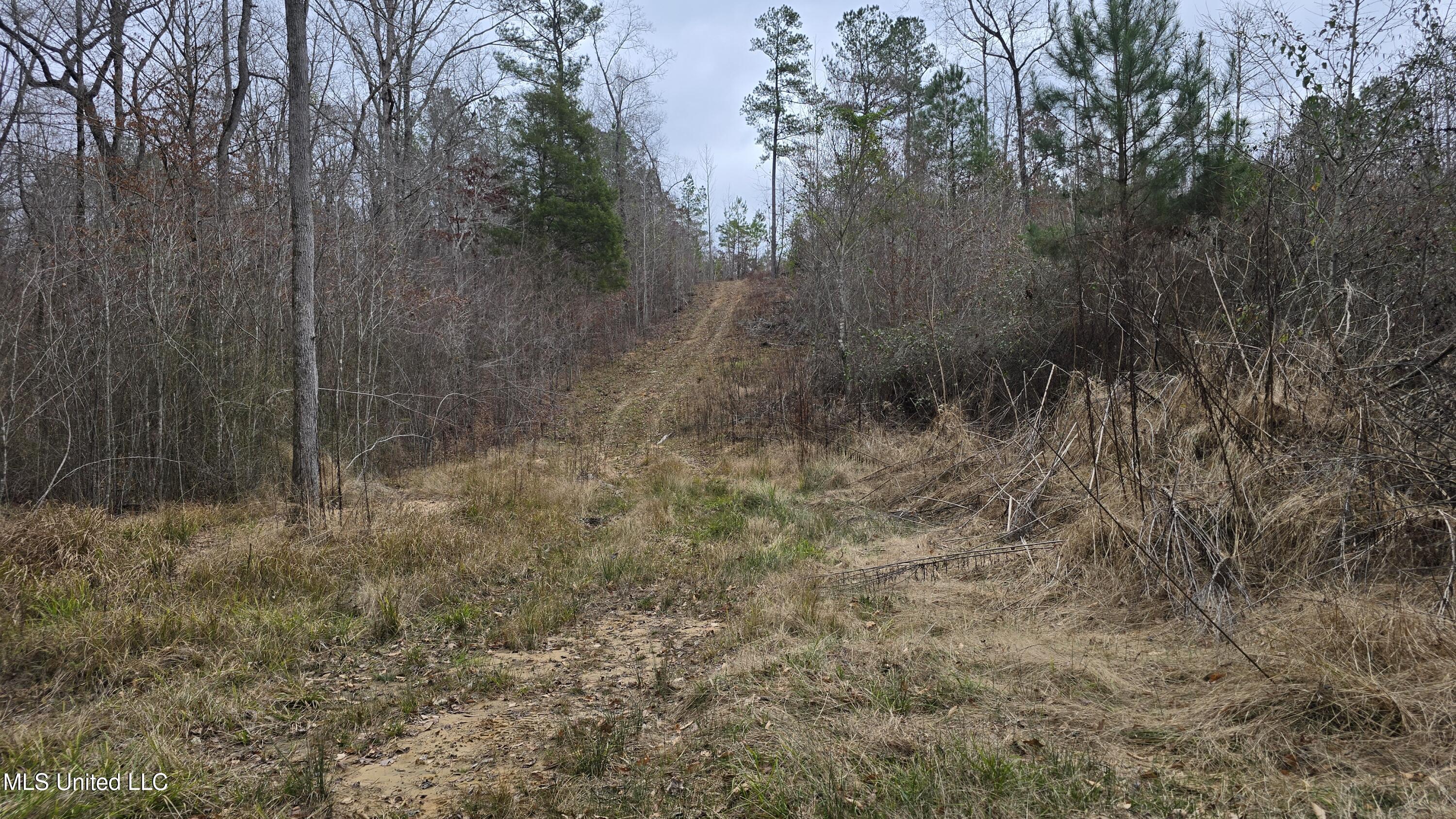Sturgis Road Sturgis, MS 39769 - Photo 36 of 39 3 (1)