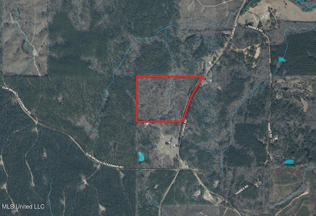 Sturgis Road Sturgis, MS 39769 - Photo 37 of 39 Aerial Map