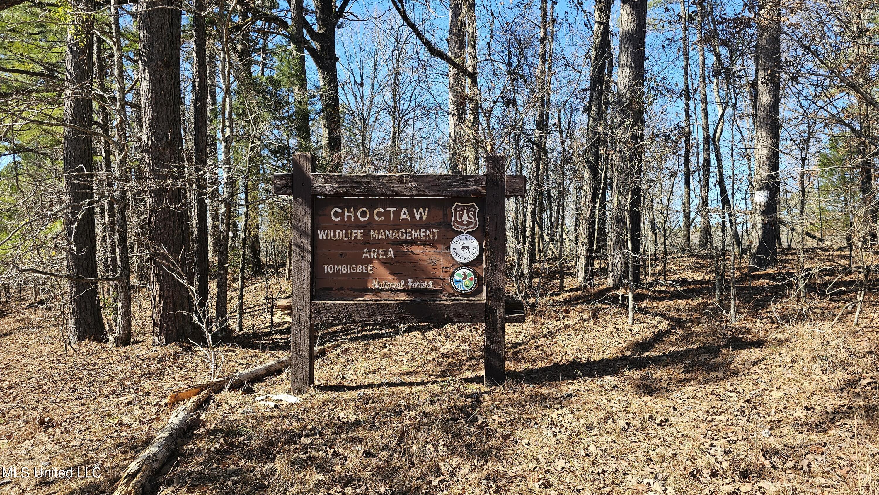 Sturgis Road Sturgis, MS 39769 - Photo 4 of 39 4