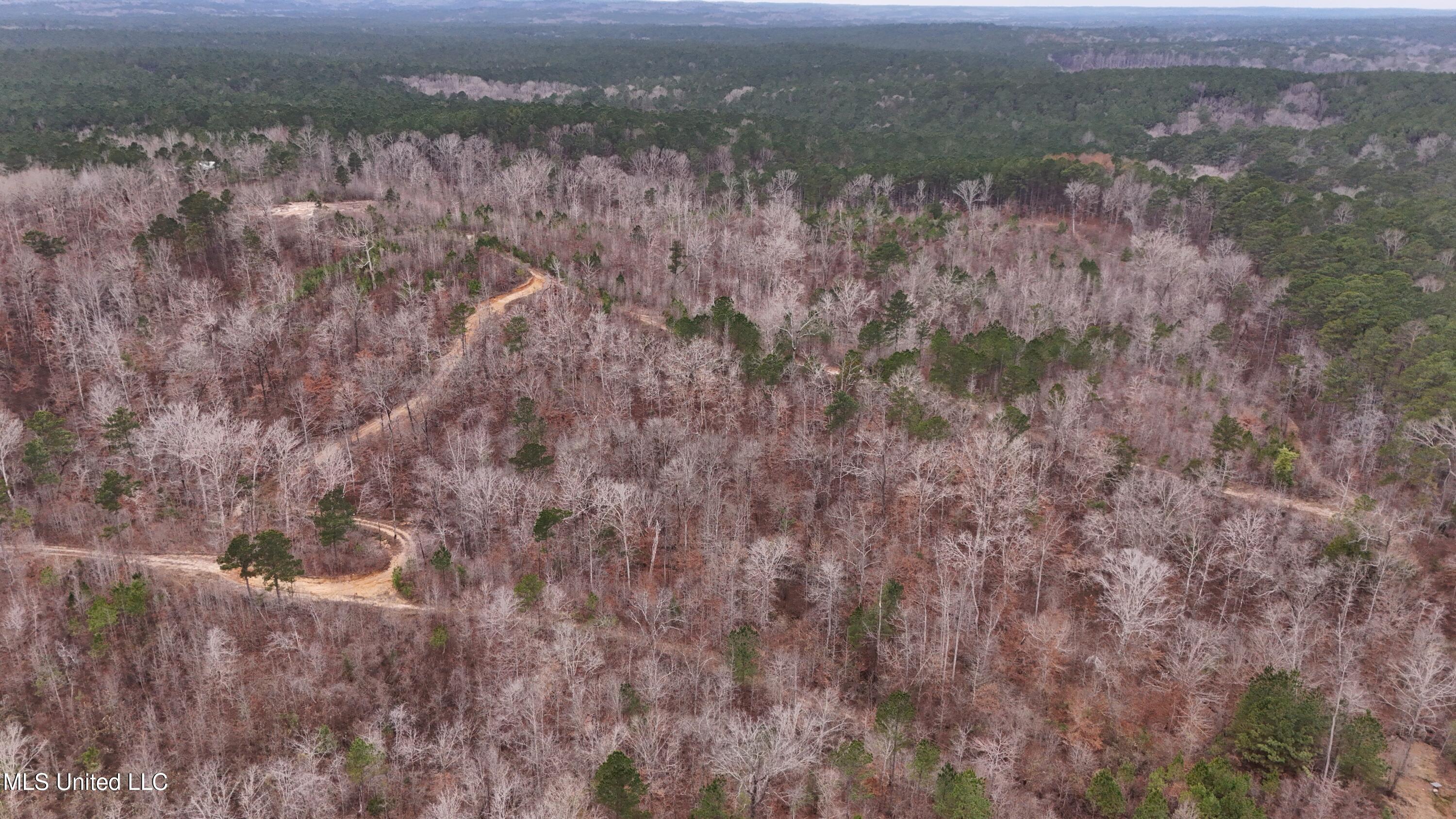 Sturgis Road Sturgis, MS 39769 - Photo 6 of 39 6