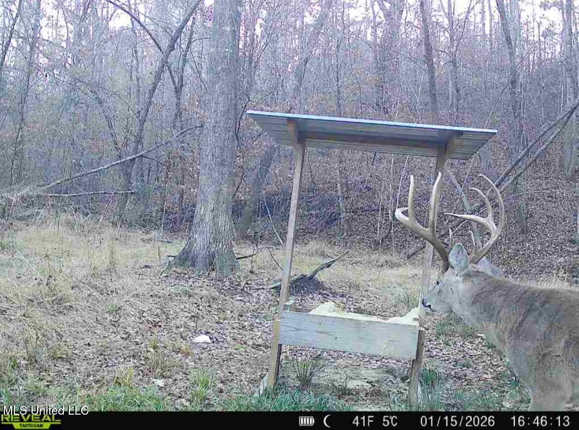 Sturgis Road Sturgis, MS 39769 - Photo 7 of 39 8