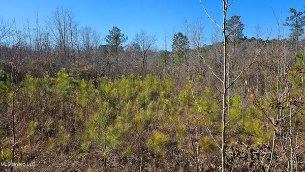 $132,300 | Sturgis Road, Sturgis, MS 39769