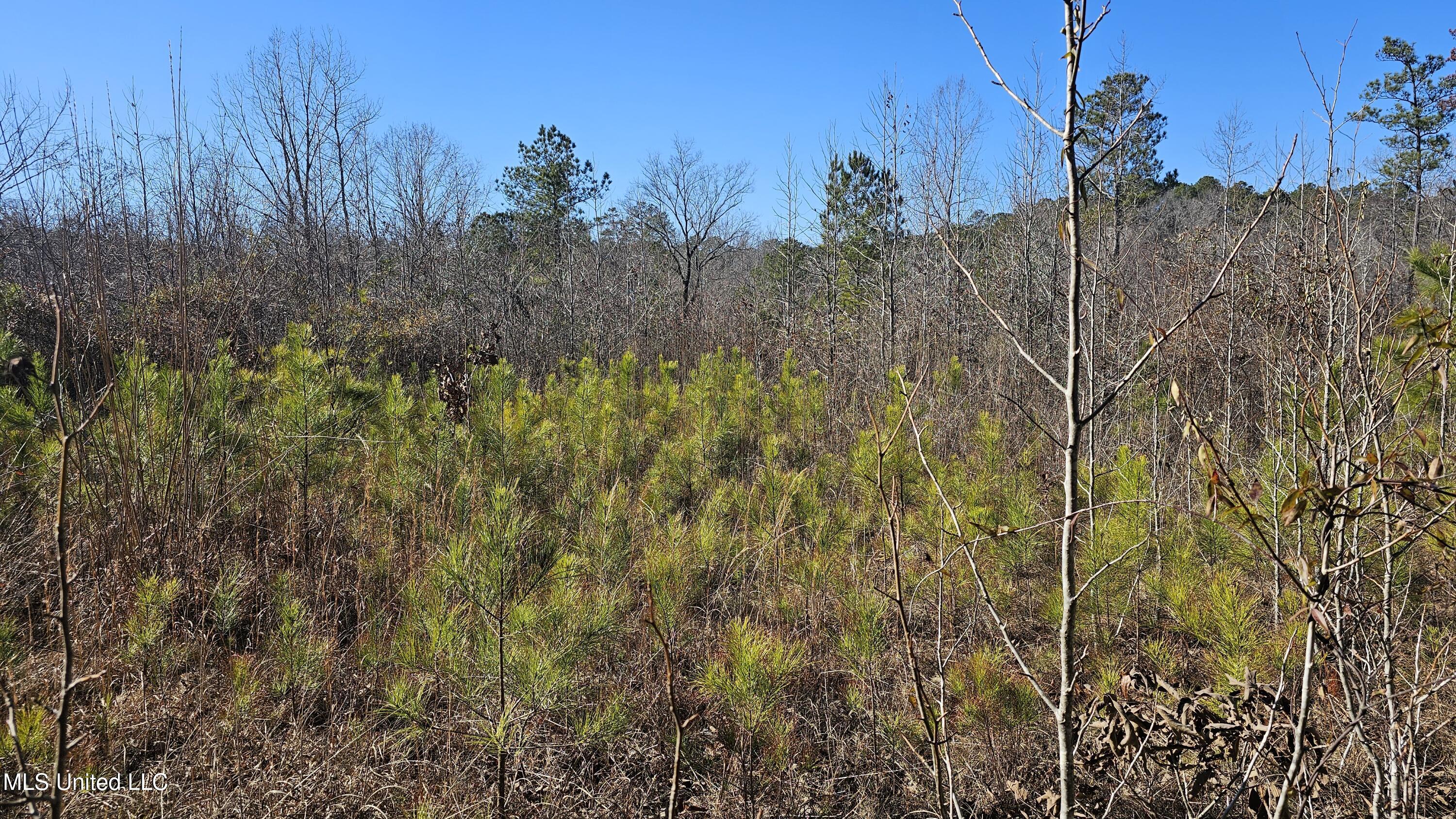 Sturgis Road Sturgis, MS 39769 - Photo 8 of 39 20240130_134930