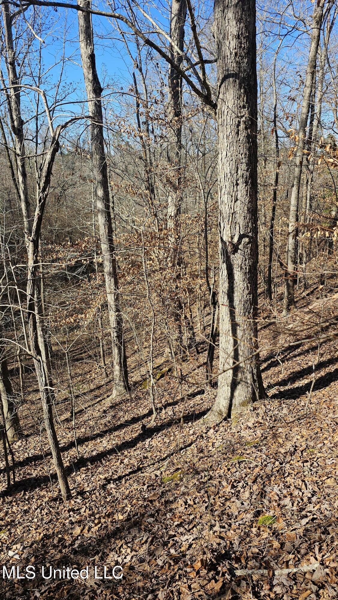 Sturgis Road Sturgis, MS 39769 - Photo 9 of 39 20240130_140301