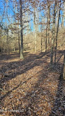 $132,300 | Sturgis Road, Sturgis, MS 39769