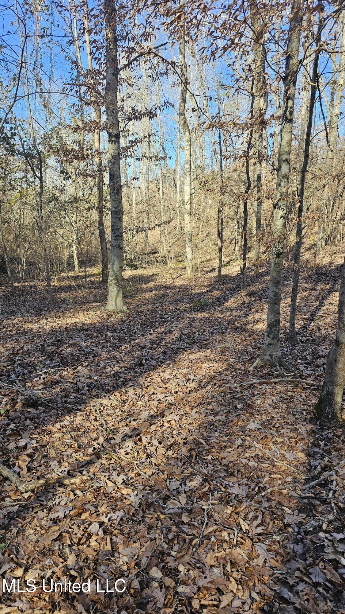 Sturgis Road Sturgis, MS 39769 - Photo 10 of 39 20240130_140517