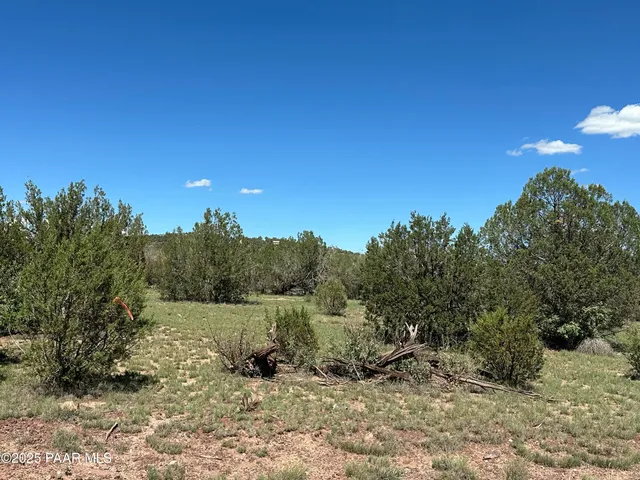a view of a yard with a tree