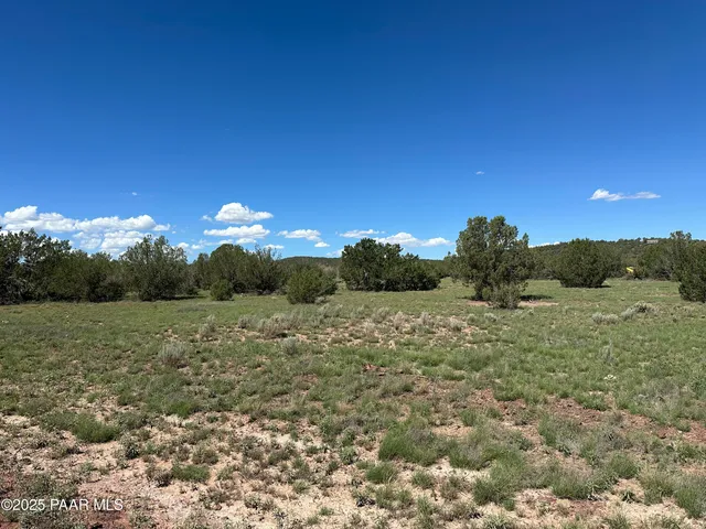 a view of a field with trees