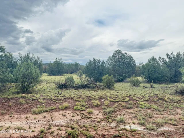 a view of a dry yard with wooden fence