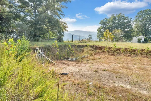 a view of a yard in front of a house