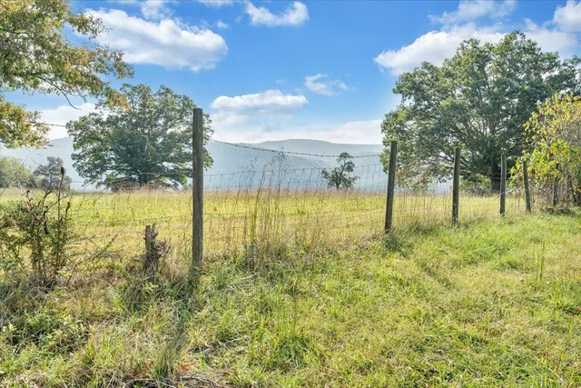 a view of a yard with wooden fence