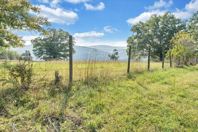 a view of yard with swimming pool and trees
