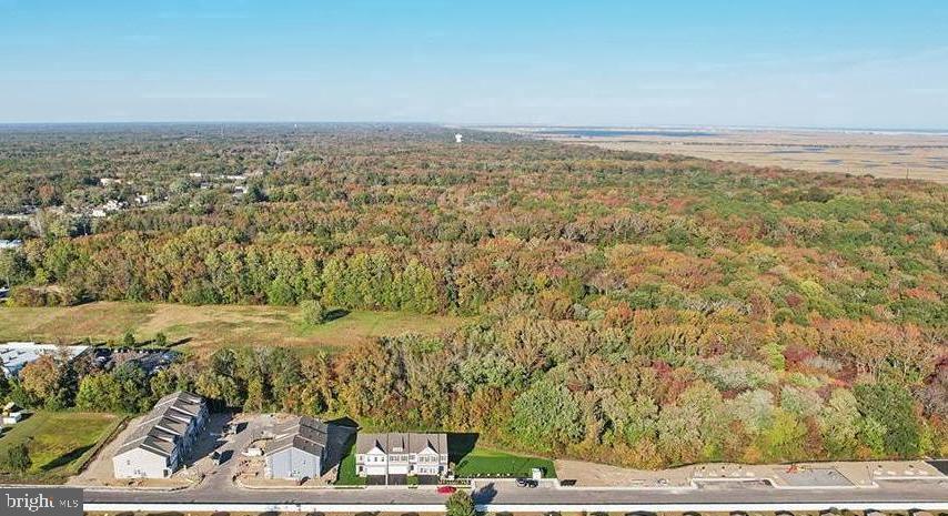 4 Dalton Way Rio Grande, NJ 08242 - Photo 5 of 54