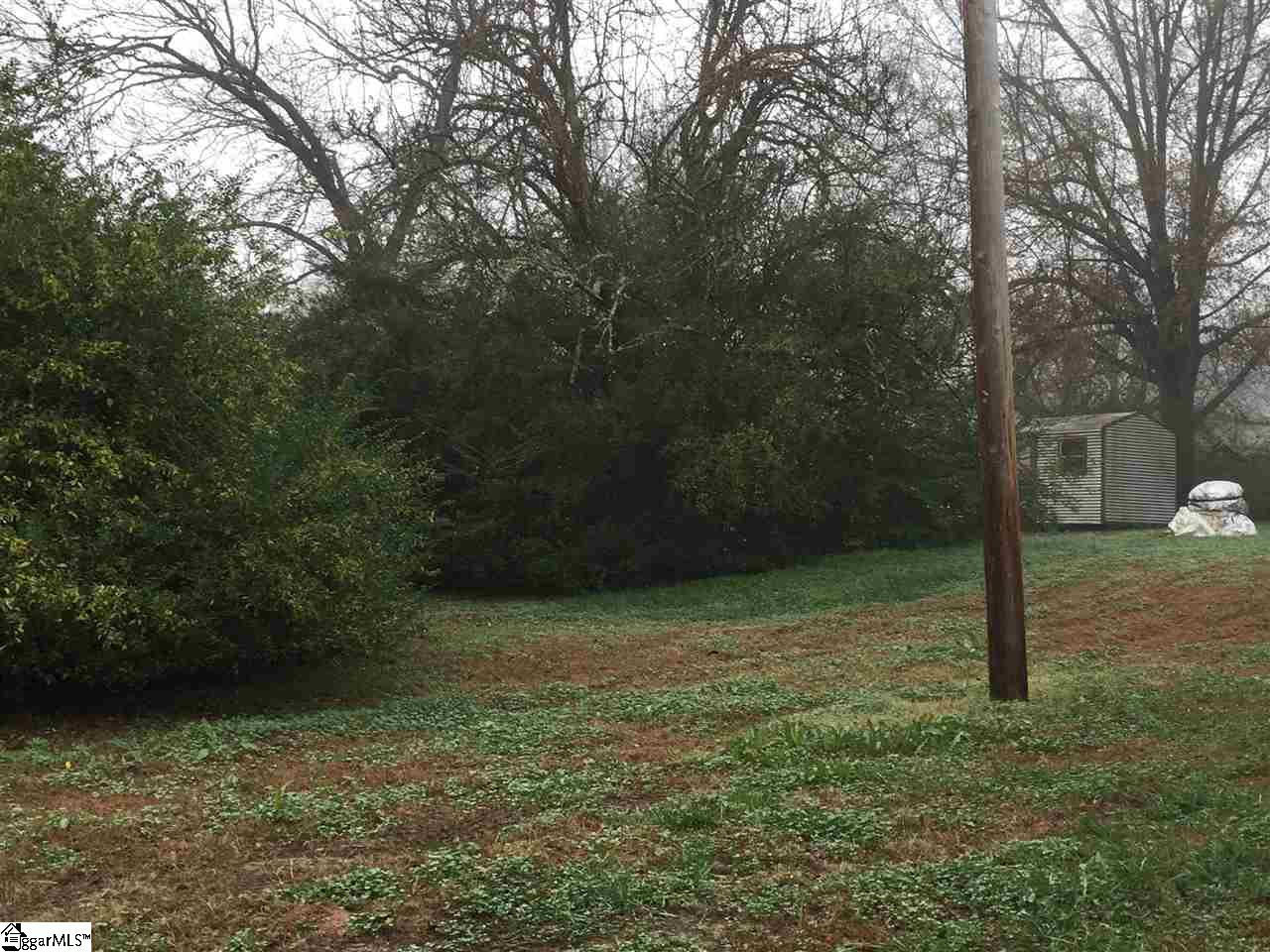 328 Chapman Grove Road Pelzer, SC 29669 - Photo 18 of 25