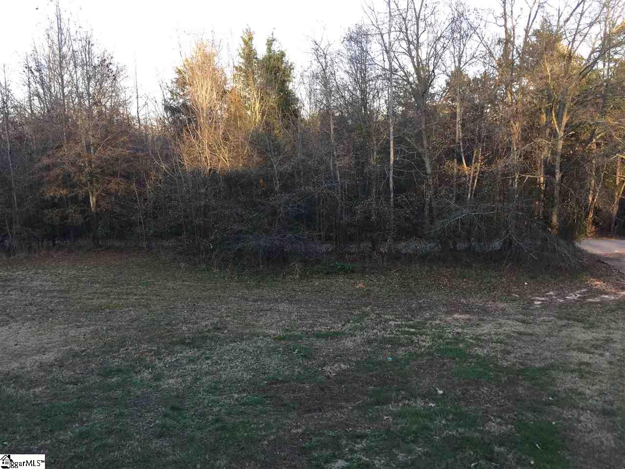 328 Chapman Grove Road Pelzer, SC 29669 - Photo 23 of 25