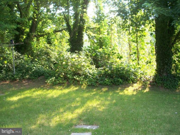 6708 Stanton Road Hyattsville, MD 20784 - Photo 14 of 14 Back yard