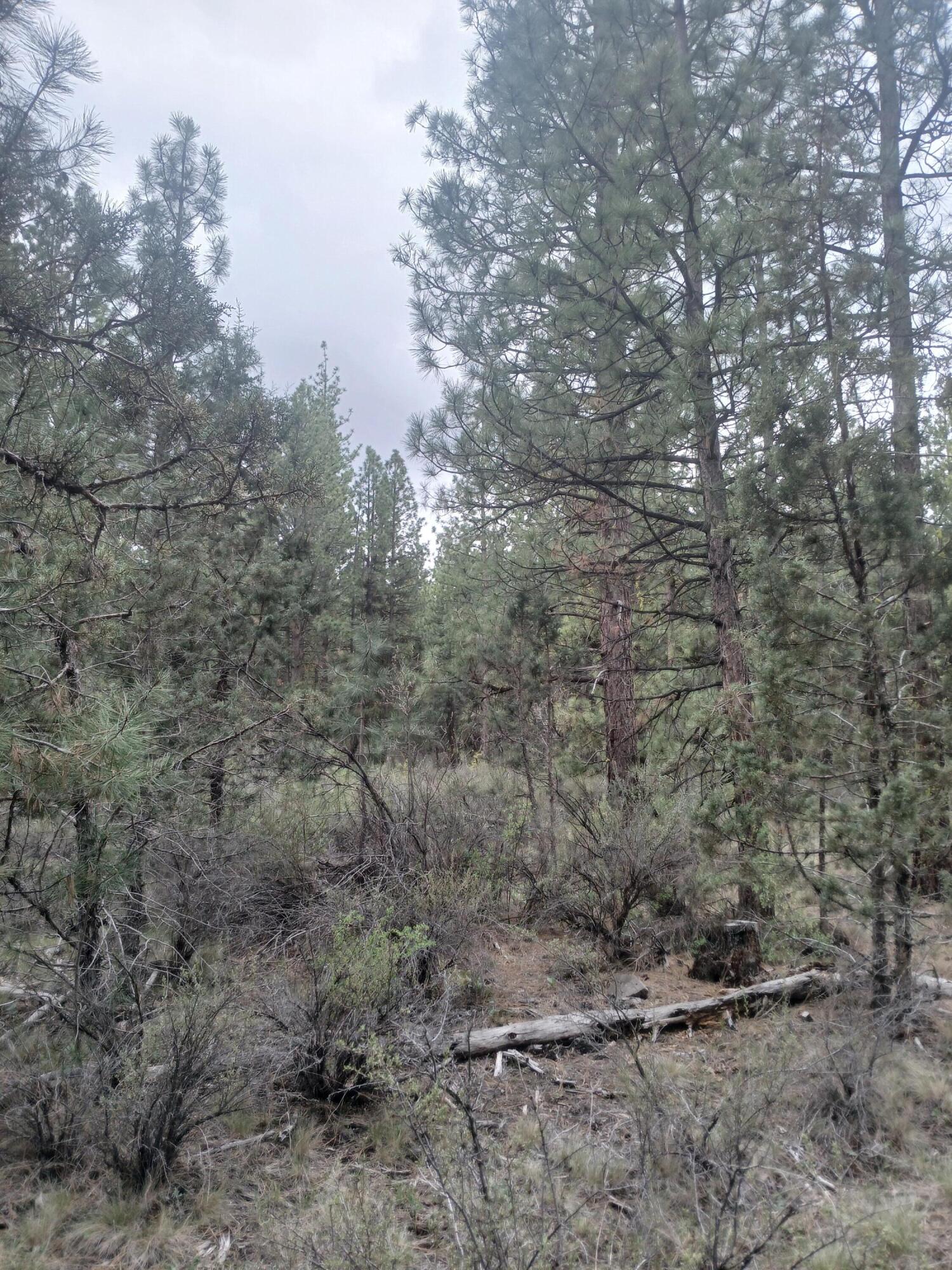 0 Tableland Road Chiloquin, OR 97624 - Photo 4 of 18 20260427_141621