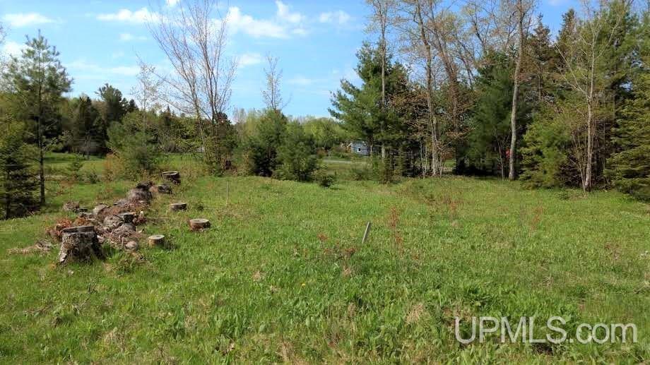 Tbd Boundary Road Chassell, MI 49931 - Photo 6 of 15