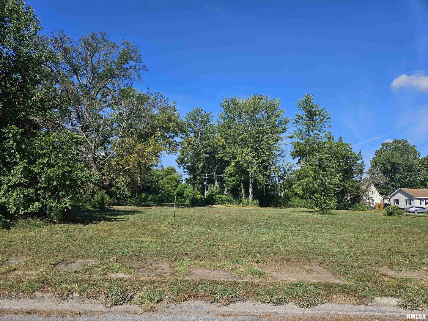 0 North Buchanan Street Benton, IL 62812 - Photo 14 of 23