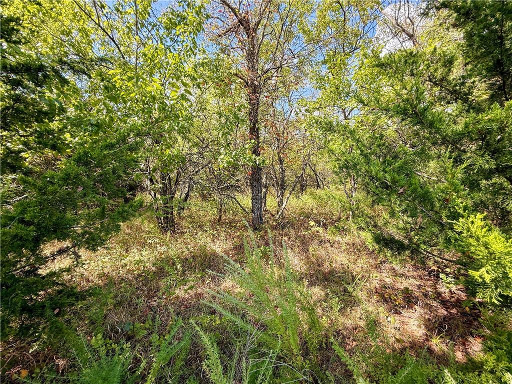 0 New Lancaster Road Lacygne, KS 66040 - Photo 20 of 32