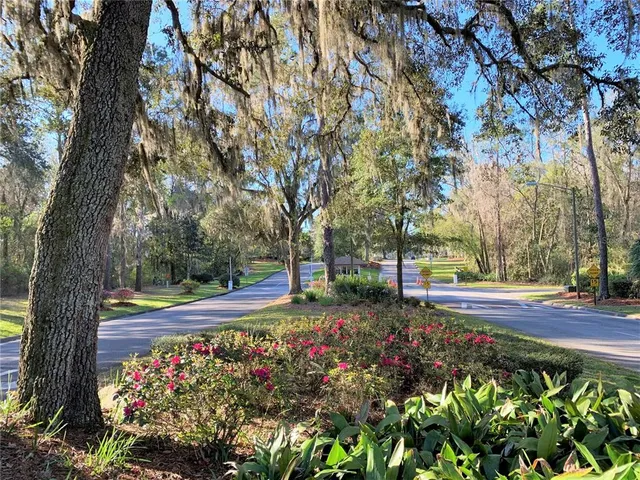 a view of a garden with flowers and trees