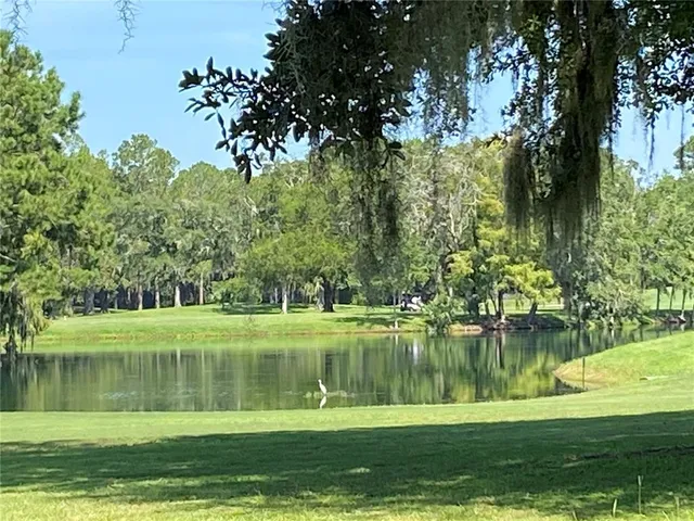 a view of a lake with a large trees