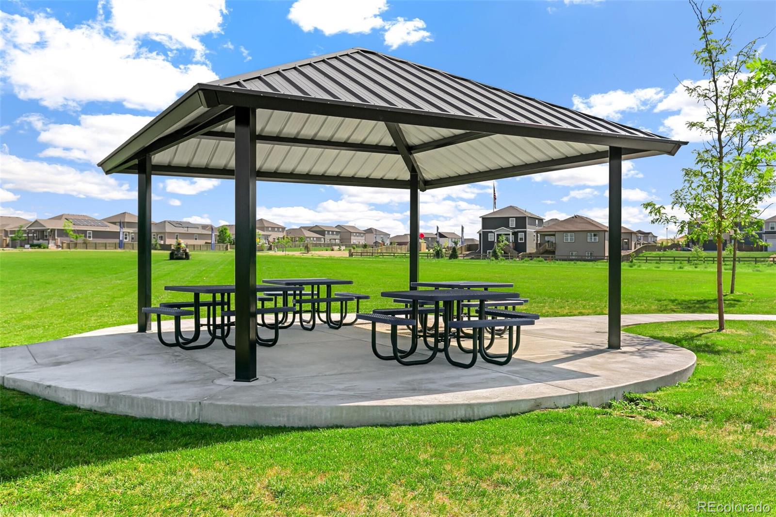 219 Haymaker Lane Severance, CO 80550 - Photo 38 of 44 a view of a park with slide and table